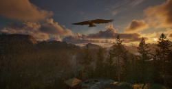 Ranger's Path: National Park Simulator