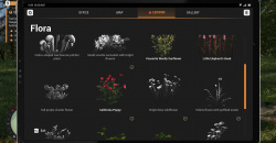 Ranger's Path: National Park Simulator