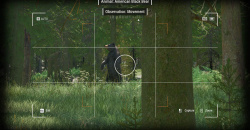 Ranger's Path: National Park Simulator