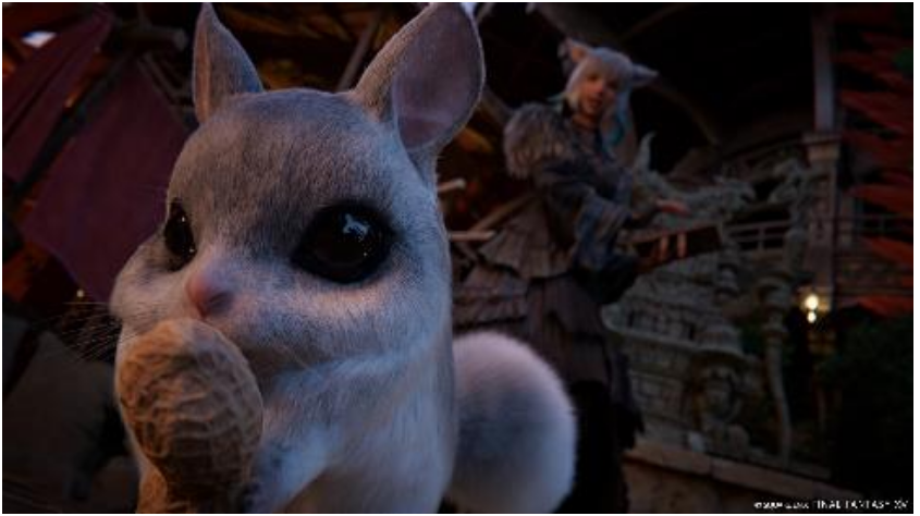 A close up of a rabbitDescription automatically generated