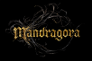 Mandragora, an epic and dark fantasy action RPG