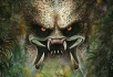 The Predator
