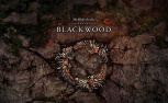 The Elder Scrolls Online: Blackwood Preview