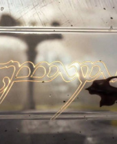 Nachgereicht: Teaser-Trailer zu Der Herr der Ringe: Der Krieg im Norden