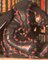 BioShock Infinite - Wahrheit und Legende - Der Songbird