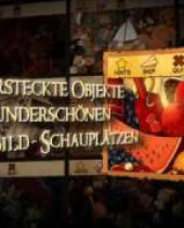 Das Geheimnis von Dragonville: Mays Mystery für Nintendo DS erscheint am 30. Juni 2011