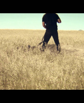 2K kündigt Stone Cold Steve Austin als Cover-Superstar für WWE 2K16 an