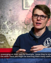 This War of Mine – Dev Diary on The Little Ones