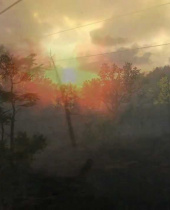 The Hunter 2013 - Deutsche Wälder