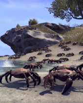 E3: The Elder Scrolls Online – The Dark Brotherhood and One Tamriel