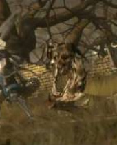 Das Spiel der großen Namen: erster Trailer zu Kingdoms of Amalur: Reckoning