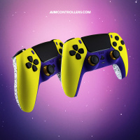 Wie Custom Controller das E-Sport-Erlebnis revolutionieren