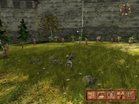 Ascension to the Throne