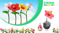 Pikmin Bloom: Updates im August
