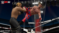Neue Moves für WWE2K16
