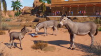 Mit dem Planet Zoo: Arid Animal Pack der Hitze trotzen