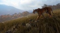 theHunter: Call of the Wild - Sundarpatan Nepal Hunting Reserve