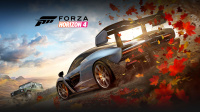 Forza Horizon 4 - Steam oder MS Version