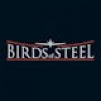 Neue Bilder zu Birds of Steel