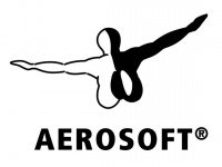 Verkaufserfolge für Aerosoft