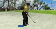 Tiger Woods PGA Tour 08