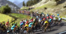 Tour de France 2015