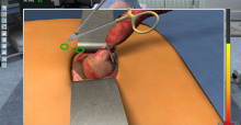 Chirurgie-Simulator 2011