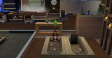 Die Sims 4: Wellness-Tag