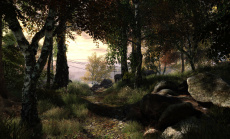 The Vanishing of Ethan Carter kommt im 3. Quartal 2014 als Boxversion