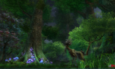 EA und 38 Studios veröffentlichen Kingdoms Of Amalur: Reckoning