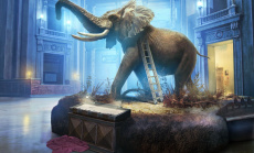 Hidden Expedition: Smithsonian Hope Diamond - Auf der beschwerlichen Jagd nach dem Hope Diamanten