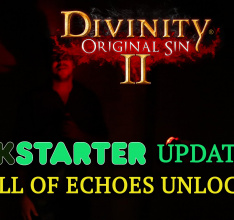 Divinity: Original Sin 2 Adds Shape-Shifting Hub Area, Plus Stretch Goals