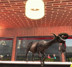 Goat Simulator Patch 1.1 is out