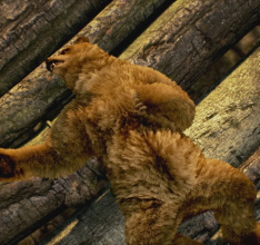 Tekken 7 – Online Tournament Mode and New Characters Revealed