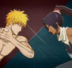 Bleach Rebirth of Souls