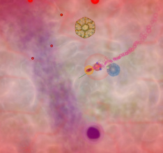 Infektor ... Infects Steam Today