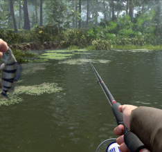 Professional Fishing 2