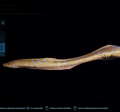 Jurassic World Evolution 2: Late Cretaceous Pack