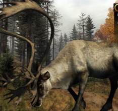 Cabelas Big Game Hunter: Pro Hunts - Die Jagd geht weiter