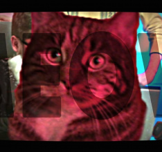 Beat Cop Coming March 30th, Along with Cat-Friendly Mode