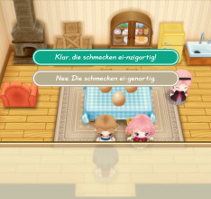 STORY OF SEASONS: Friends of Mineral Town