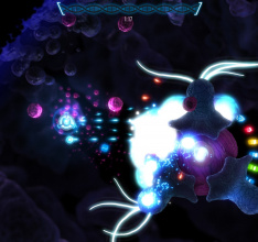 Die Antiphyloxe ist nicht mehr aufzuhalten - Website von Transcripted online