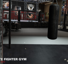 Mit EA SPORTS UFC vom Ultimate Fighter zur Hall-Of-Fame-Legende