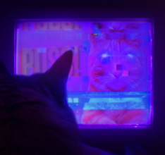 Settle In For This Arcade Puzzlers Ten Hour Trailer