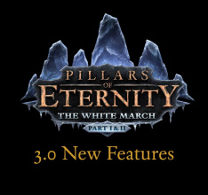 New Features Coming to Pillars of Eternity