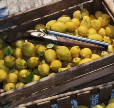 Mafia: The Old Country