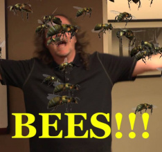 Beejumbled ab dem 13. Juni weltweit für iOS- und Android-Geräte erhältlich