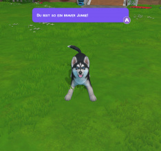 Little Friends: Puppy Island