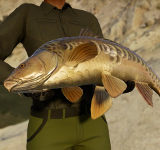 Call of the Wild The Angler - Japan Fishing Reserve