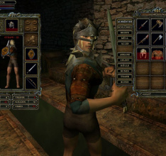 Dungeon Lords Collectors Edition